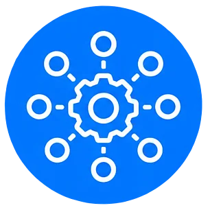Business adoption and ERP integration
